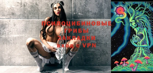 Альфа ПВП Вяземский